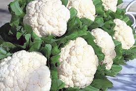 Snow Crown Cauliflower Seeds