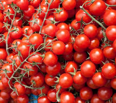 Tomato Seeds - Red Cherry - Large