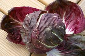 Indigo Radicchio Seed