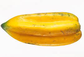 Dhara Seeds Babaco Papaya Fruit Tree Seeds - Thumbnail 2
