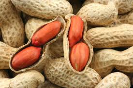 Spanish Peanut Arachis hypogaea for planting in home garden