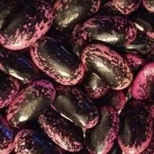 Scarlet Bean Seeds for Planting