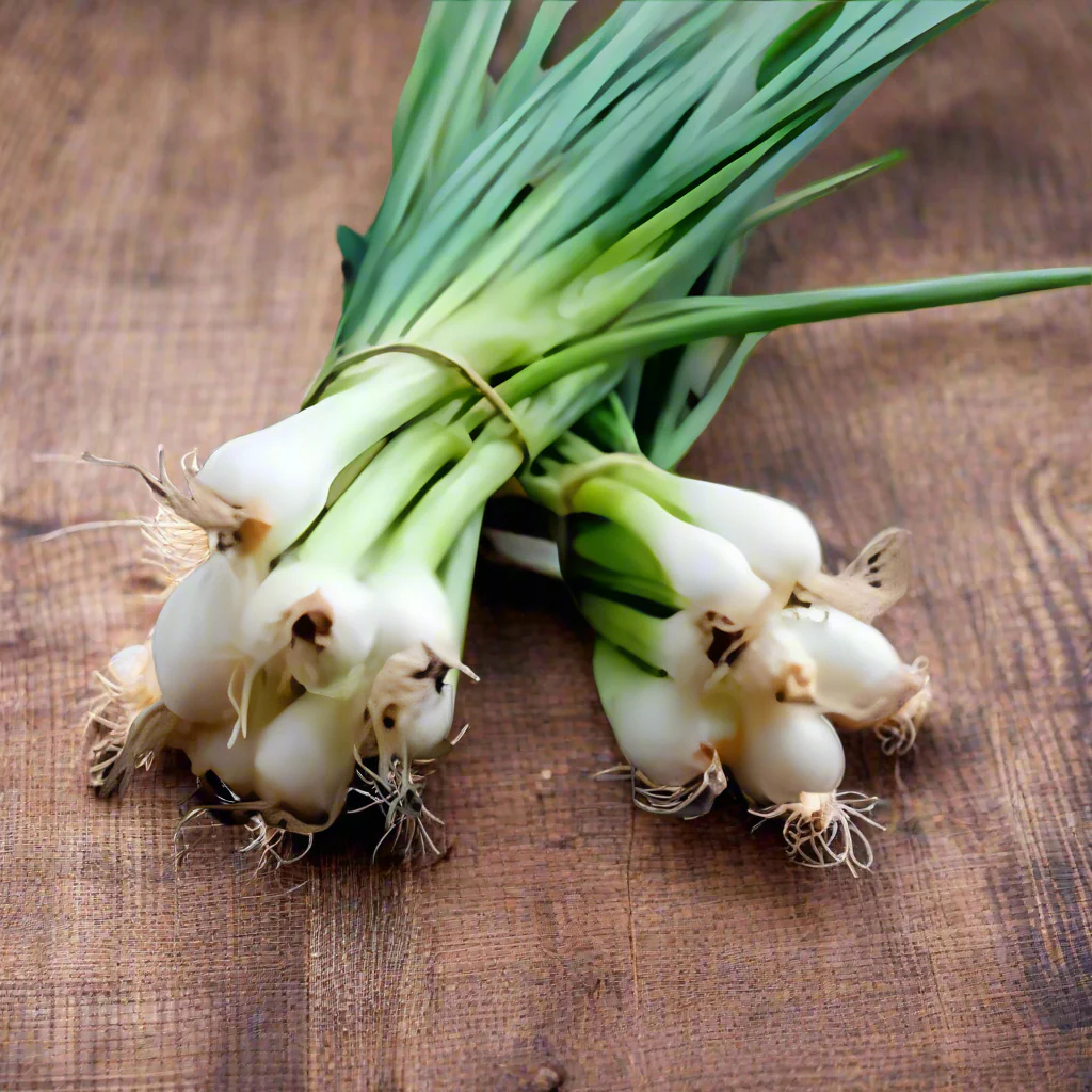 Green Scallion Vegetable Seeds for Planting heirloom & Non-GMO Seeds