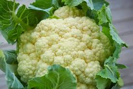 Skywalker Organic Cauliflower Seeds