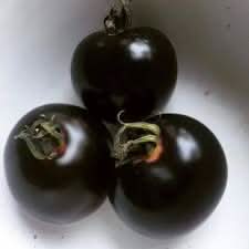 Black Tomato Vegetable Seeds for Planting