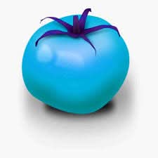 Tomato Seeds for Planting, Sky Blue
