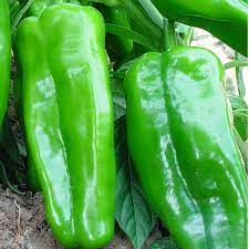 Big Jim Chilli Vegetable Seeds for Planting