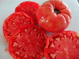 Box Car Willie Heirloom Tomato Seeds for Planting