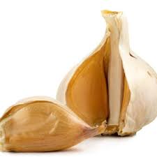 Elephant Garlic Seeds for Planting, White