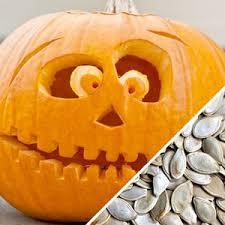 Pumpkin Seeds - Jack OLantern