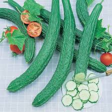 Cucumber Seeds - Suyo Long