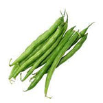 Green Lake Bean Phaseolus vulgaris seeds for garden planting