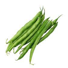 Green Lake Bean Phaseolus vulgaris seeds for garden planting