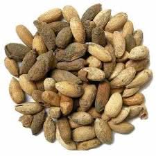 Neem Tree Seeds for Planting – Heirloom, Non-GMO Garden Seeds for Fast-Growing Medicinal Trees