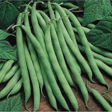 Heirloom Green Pole Bean Vegetable Seeds for Planting