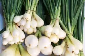 Green Spring Onions (Scallions) Vegetable Seeds for Planting