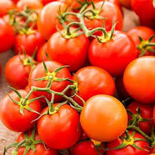 Tomato Seeds - Sweetie