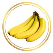 Giant Cavendish (Williams Banana) Fruit Seeds for Unusual and Tropical Gardening