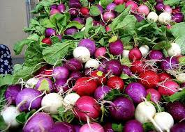 Rainbow Radish Seeds for Planting