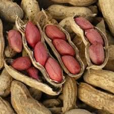 Valencia Peanuts Seeds for Planting