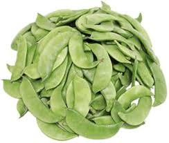 Green Lima Bean Phaseolus lunatus seeds for garden planting
