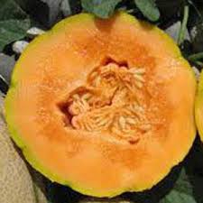 Hannah's Choice Melon Seed