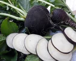 Radish Seeds - Black Spanish Round