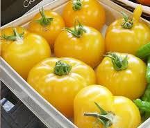 Tomato Seeds - Brandywine Yellow