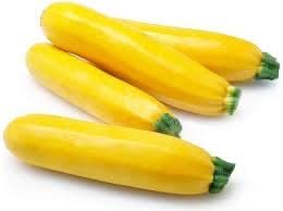 Yellow Zucchini Squash Cucurbita pepo for planting in vegetable garden