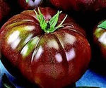 Brown Giant Tomato Solanum lycopersicum seeds for garden planting