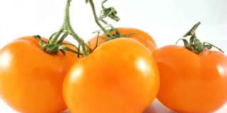 Deep Orange Tomato Seeds for Planting - Heirloom and Non-GMO Garden Seeds