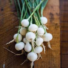 Onion Seeds (Pearl/Pickling) - Crystal White Wax