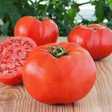 Tomato Seeds - Bonny Best