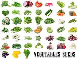 Vegetable Seed Variety Pack