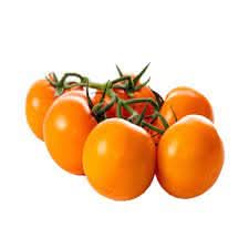 Deep orange tomato Solanum lycopersicum seeds for planting in garden beds