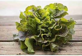 Lettuce Seeds - Bronze Mignonette