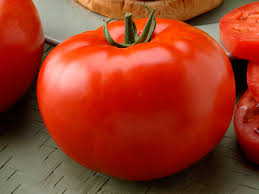 Tomato Seeds - Big Beef Plus