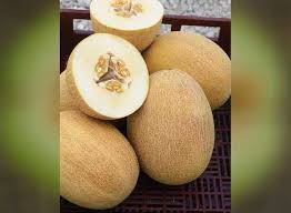 Melon Seeds - Ananas