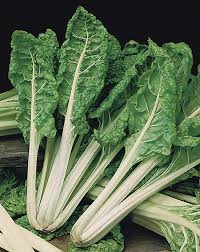 Swiss Chard Seeds - Lucullus