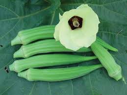 Okra Seeds - Perkins Long Pod