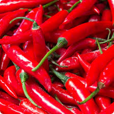 Hot Pepper Seeds - Cayenne Long Red Thin