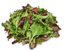 Lettuce Seeds (Organic) - Garden Blend