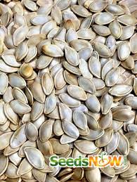 Pumpkin Seeds - Small Sugar