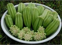 Okra Seeds - Star of David