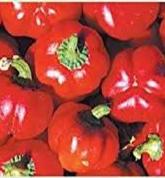 Sweet Pepper Seeds - Pimento