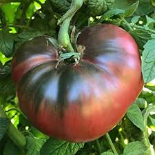 Tomato Seeds (Organic) - Cherokee Purple