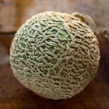 Melon Seeds (Organic) - Honey Rock