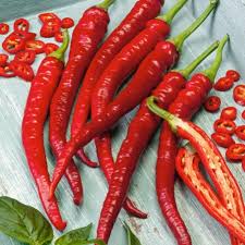 Hot Pepper Seeds (Organic) - Cayenne Long Red Thin