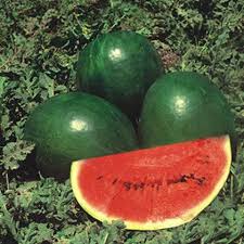 Watermelon Seeds - Black Diamond