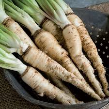 Salsify Seeds - Mammoth Sandwich Island